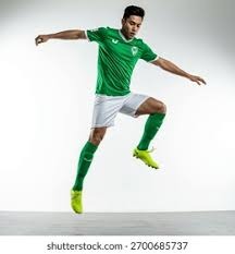 日本职棒球队战绩稳居前列