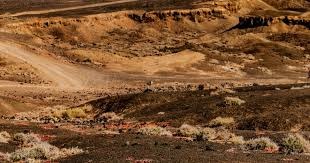 炉石传说年度版本演变回顾